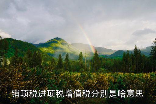 什么是銷項(xiàng)和進(jìn)項(xiàng)，進(jìn)項(xiàng)稅和銷項(xiàng)稅是什么意思