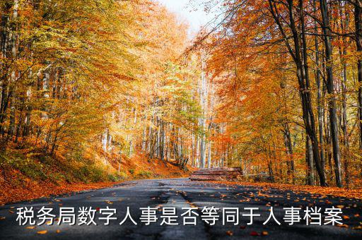 數(shù)字人事國(guó)稅是什么，數(shù)字人事第一段怎么劃分
