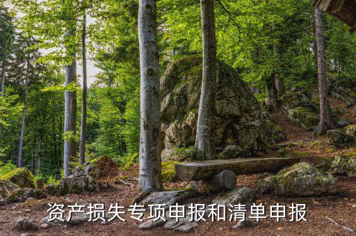 資產損失專項申報和清單申報