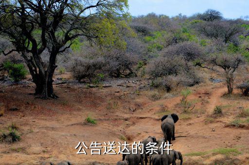 稅務(wù)局公告送達需要什么條件，公告送達的條件