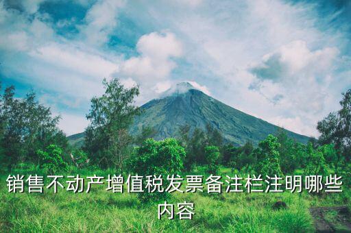 不動產(chǎn)開具專票必須備注什么，非房地產(chǎn)企業(yè)不動產(chǎn)開票是否需備注詳細(xì)地址