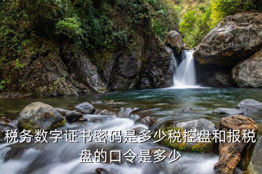 國(guó)稅開(kāi)票軟件的稅務(wù)證書(shū)密碼是什么，稅務(wù)數(shù)字證書(shū)密碼是多少稅控盤(pán)和報(bào)稅盤(pán)的口令是多少