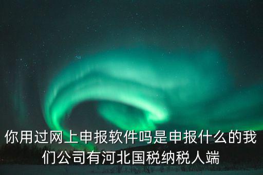 企業(yè)申報客戶端是什么，你用過網(wǎng)上申報軟件嗎是申報什么的我們公司有河北國稅納稅人端