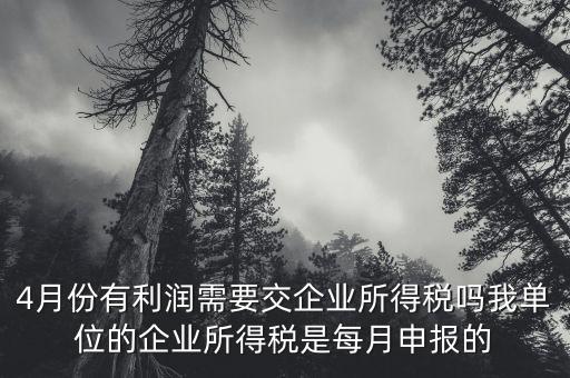 每年四月份要申報什么稅，我公司是一般納稅人四月份要申報兩個不同稅稅率的稅有一個可以