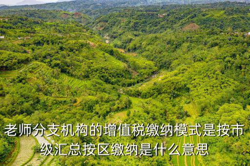 什么叫匯總繳納增值稅，老師分支機(jī)構(gòu)的增值稅繳納模式是按市級匯總按區(qū)繳納是什么意思