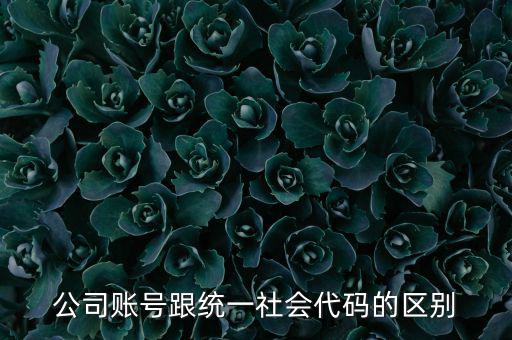 賬號(hào)上的統(tǒng)一社會(huì)代碼是什么意思，統(tǒng)一社會(huì)信用代碼有什么用