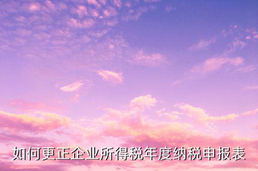 辦稅大廳改報(bào)表需要什么，去稅務(wù)局營(yíng)業(yè)大廳申報(bào)納稅需要帶哪些材料