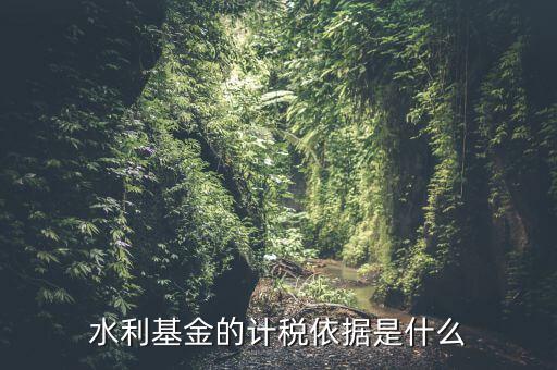 水利基金的繳納按照什么依據(jù)，水利基金的計(jì)稅依據(jù)及稅率