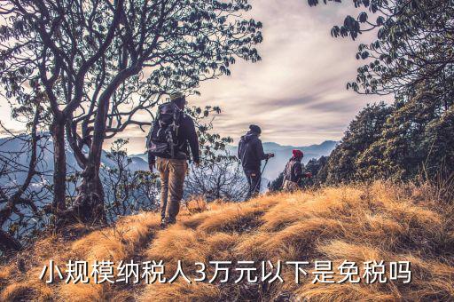 3萬(wàn)以下免稅是什么意思，小規(guī)模納稅人3萬(wàn)元以下是免稅嗎