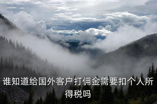 收到境外傭金交什么稅，關(guān)于國(guó)外支付國(guó)內(nèi)傭金方面的稅務(wù)問(wèn)題