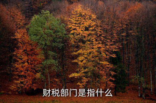 財(cái)稅征收保障網(wǎng)是什么，財(cái)稅部門是指什么