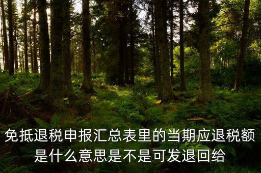 免抵退貨物應(yīng)退稅額是什么意思，免抵退應(yīng)退稅額是什么意思