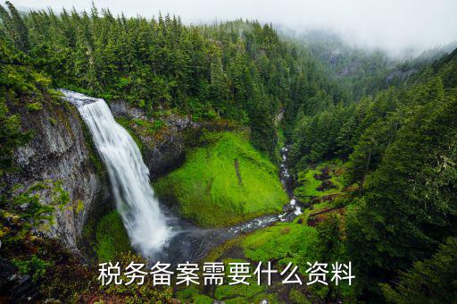 去地稅備案需要帶什么資料，想問辦理地稅備案需要拿什么資料