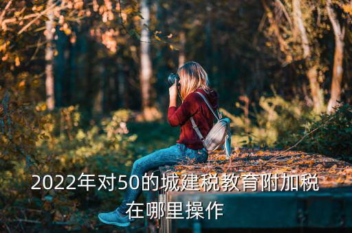 城建稅 教育費附加在什么界面報稅，城建稅地方教育費附加教育費附加怎么報稅怎么操作