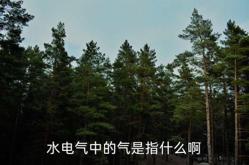 水電氣退稅氣指什么，公租房的水電氣的氣是指什么