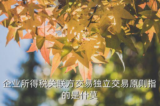 什么是合理商業(yè)目的，如何判斷企業(yè)實施的納稅籌劃不具有合理商業(yè)目的