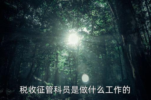 國稅局征管員和企業(yè)要做什么，稅收征管的公務員主要做什么工作