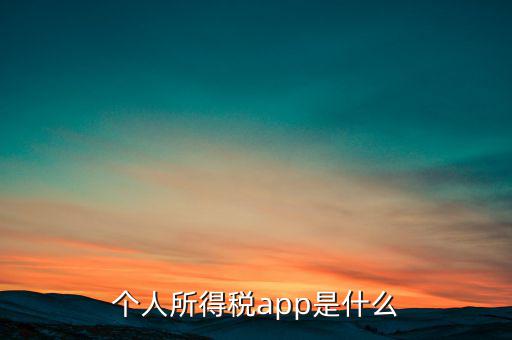 網(wǎng)上交稅要下載什么東西，個人所得稅官網(wǎng)登錄企業(yè)個人所得稅要下載什么端口申報