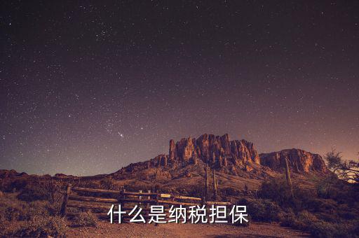 納稅擔保人用來干什么的，什么是納稅擔保