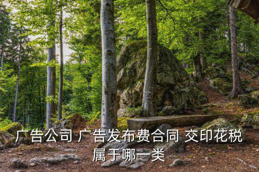 線上廣告發(fā)布屬于什么印花稅，廣告公司 廣告發(fā)布費 交印花稅屬于哪一類