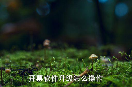 發(fā)票升級最新版本是什么原因，稅務升版是什么意思