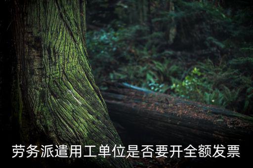 勞務派遣開什么票，勞務派遣小時工發(fā)票怎么開