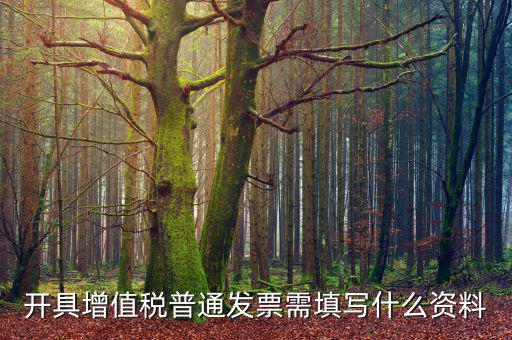 開增值稅普通需要什么資料，開增值稅票需要什么資料