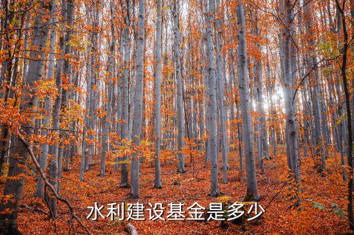 水利建設(shè)基金什么行業(yè)，水利工程這個專業(yè)畢業(yè)就業(yè)是什么行業(yè)的工作詳細(xì)工作類別