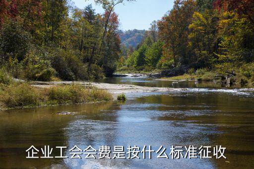 工會按什么征收，企業(yè)工會會費是按什么標準征收