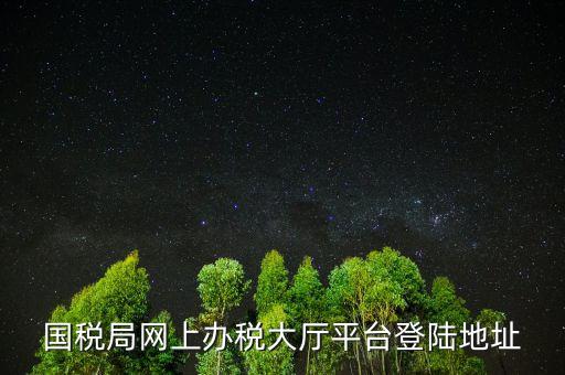國稅網(wǎng)什么網(wǎng)站可以登錄，河北國稅網(wǎng)上辦稅服務(wù)廳用戶登錄地址