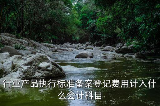 備案費(fèi)入什么科目，行業(yè)產(chǎn)品執(zhí)行標(biāo)準(zhǔn)備案登記費(fèi)用計(jì)入什么會計(jì)科目