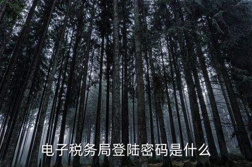 電子稅務(wù)里面的用戶名和密碼是什么，電子稅務(wù)局的初始密碼是多少