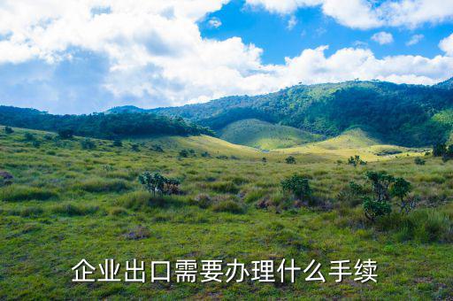 生產企業(yè)對外出口都需要辦什么，企業(yè)出口需要辦理什么手續(xù)