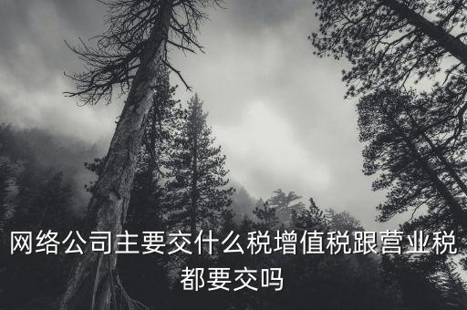 互聯(lián)網(wǎng)企業(yè)交什么稅，互聯(lián)網(wǎng)公司在稅收上有何政策
