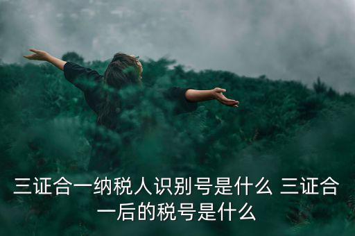 三證合一后稅號是什么，三證合一納稅人識別號是什么 三證合一后的稅號是什么