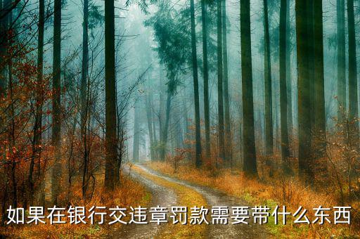 銀行端查詢繳款需帶什么，銀行端查詢繳稅業(yè)務(wù)如何辦理