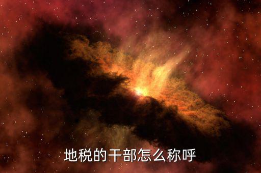 地稅局所長是什么級別，內蒙古副廳級干部和內蒙古地稅局副局長級哪個官位大