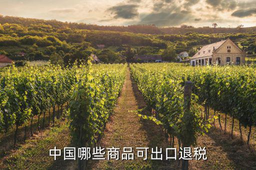 什么貨物出口可以退稅，中國哪些商品可出口退稅