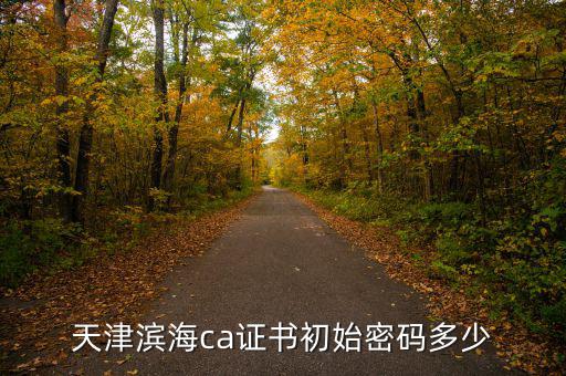 天津ca密碼是什么意思，天津社?？ǔ跏济艽a是多少啊 我是中國銀行的