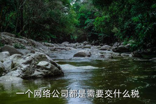 互聯(lián)網(wǎng)公司交什么稅，做互聯(lián)網(wǎng)服務(wù)行業(yè)要交多少稅
