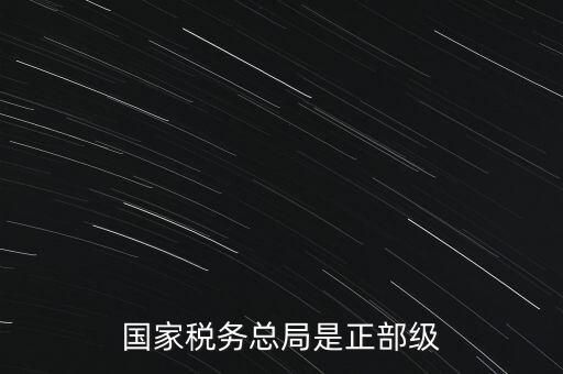 稅務(wù)大廳主任什么級(jí)別，金河鎮(zhèn)稅務(wù)務(wù)局局長(zhǎng)是什么級(jí)別