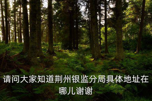 荊州稅務(wù)局在什么地方，請問大家知道荊州銀監(jiān)分局具體地址在哪兒謝謝