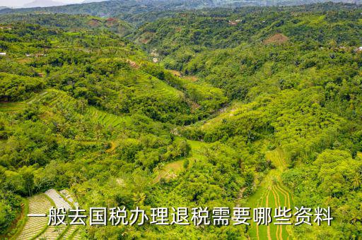 稅務(wù)局退稅要什么手續(xù)，一般去國(guó)稅辦理退稅需要哪些資料