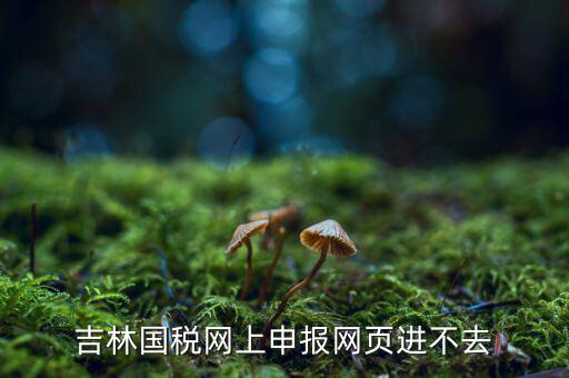 吉林省國稅上不去為什么，吉林省國家稅務局晚上申報 無法安全登陸