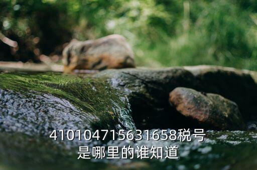 河南省的稅號是什么意思，410104715631658稅號是哪里的誰知道