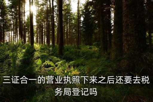 辦完三證合一 要去稅局做什么，三證合一后還需要去國地稅做些什么啊