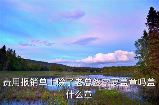 報(bào)銷單據(jù)里面蓋什么章，報(bào)銷入院記錄要蓋什么章