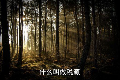 稅源標志是什么，什么叫做稅源