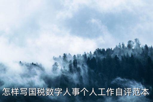 國稅數(shù)字人事是什么，專業(yè)的除了可以考會計證和證券從業(yè)資格證以為還可以考什么證