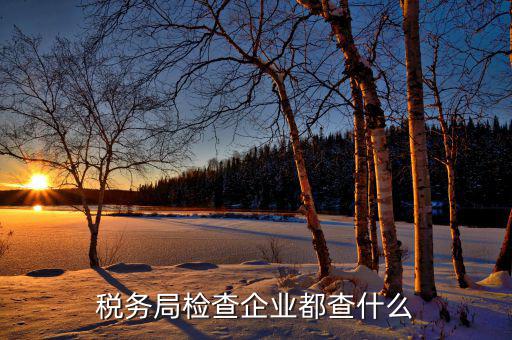 北京市稅務(wù)局主要查什么，稅務(wù)查賬一般查什么內(nèi)容
